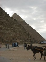 /album/fotos-afrika/cairo-7-small-jpg/